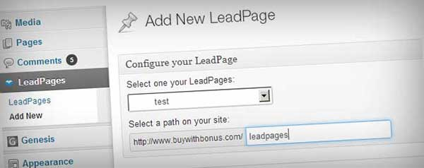 Add-New-LeadPage-WordPress