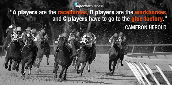A players are the racehorses, B players are the workhorses, and C players have to go to the glue factory.