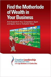 Find the Motherlode of Wealth in Your Business book by Jay Abraham