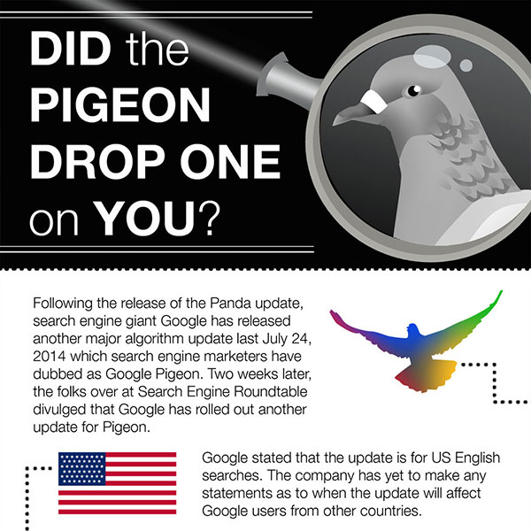 pigeon-infog